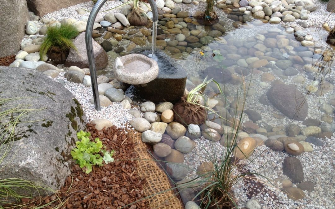 Bassin et fontaine