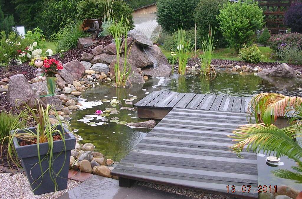 Bassin et ponton
