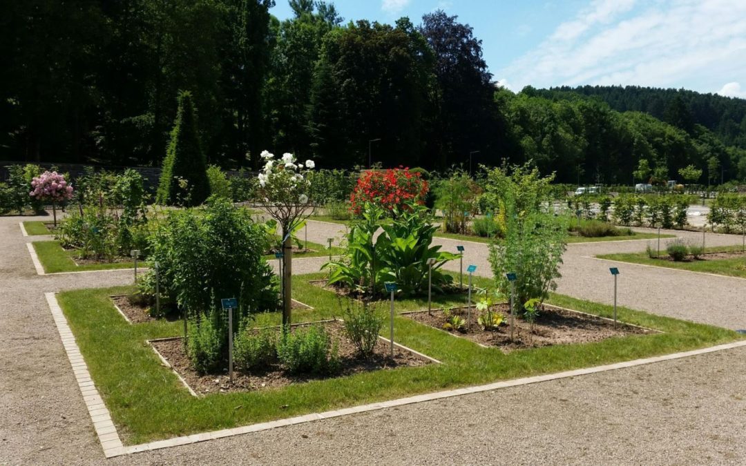 Parc