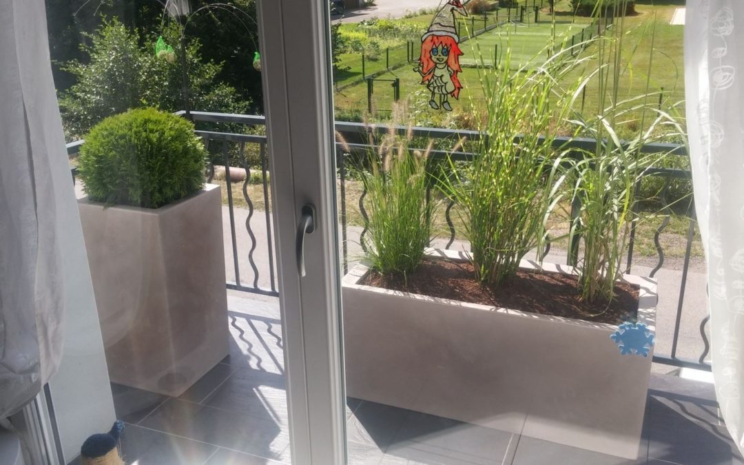 Plantation en pot