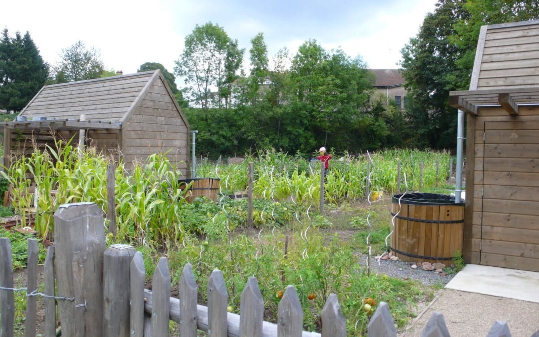 Végétaux et structure bois