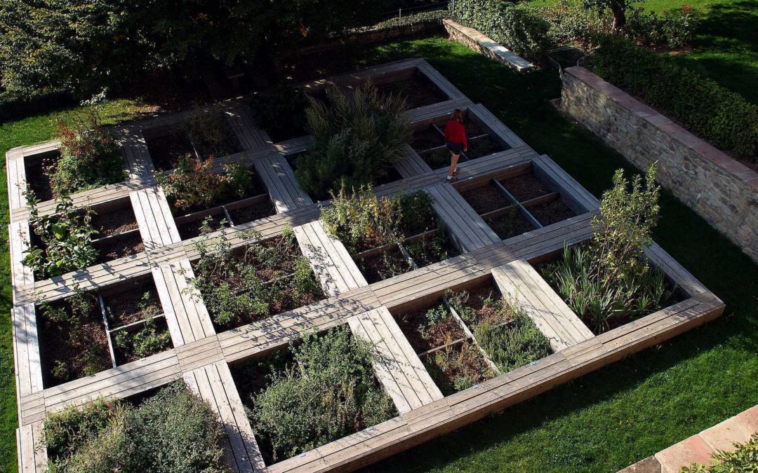 Carré potager