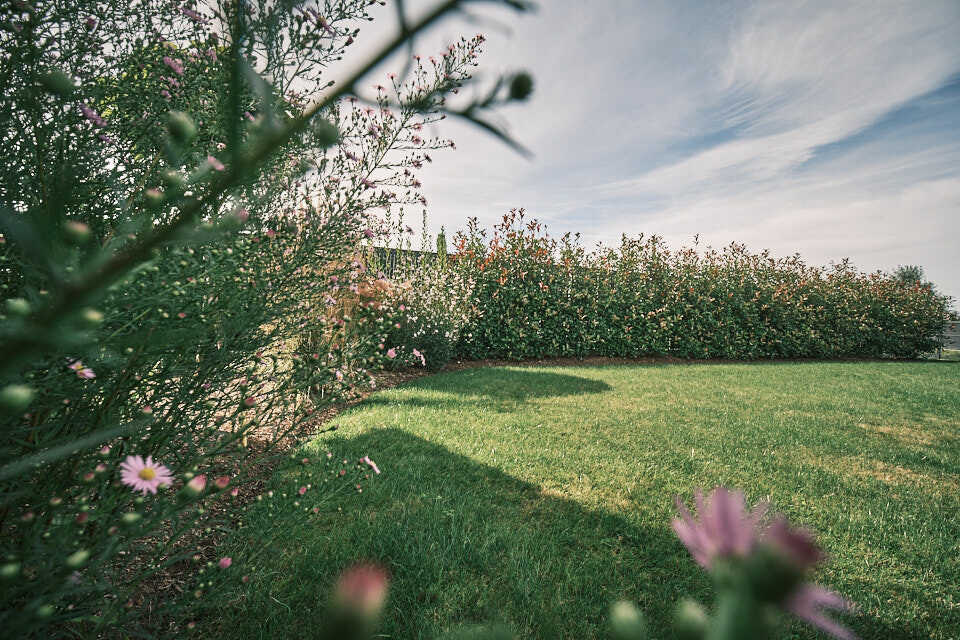 Aménagement extérieur à Gérardmer : installations fixes et aménagement paysager sur mesure