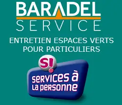 Logo Baradel Service